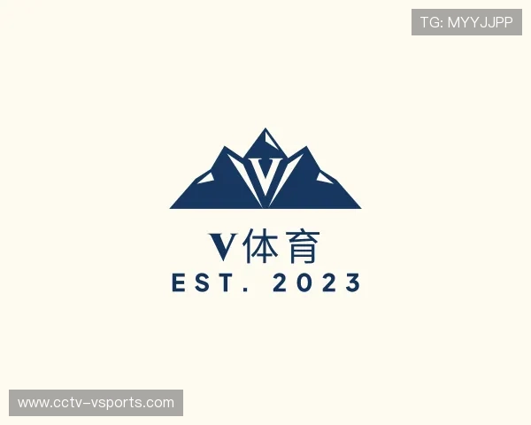 关于v体育公司